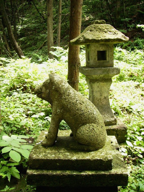 高安犬 ミントパパの隠居日記