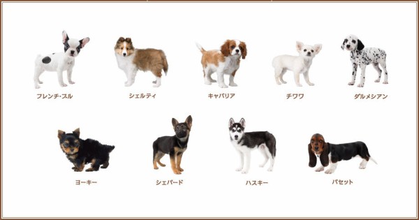 ネコゲームの決定版 3dsの Nintendogs Cats はスゴそうだ 物欲ソムリエ