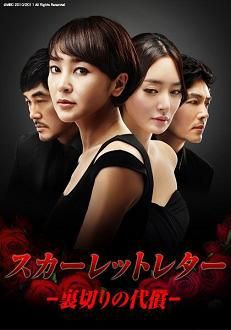 韓国ドラマ スカーレットレター 裏切りの代償 全165話 記録 感想 韓国ドラマチョアヨ