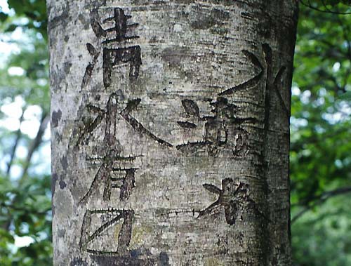 ブナの落書き 鉈目 山森 浪漫