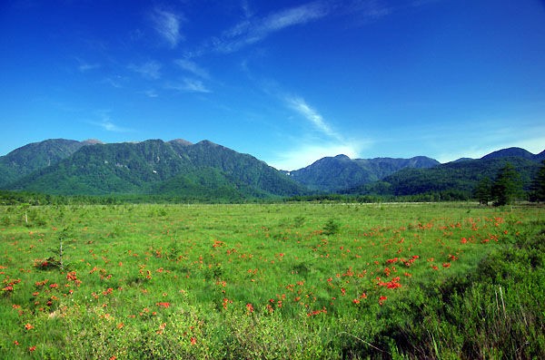 梅雨晴れの奥日光 戦場ヶ原から小田代原 千手ヶ浜 山森 浪漫