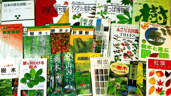 増え続ける樹木図鑑に また１冊 山森 浪漫