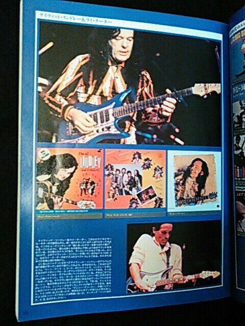 60s ビザールギター リットーミュージック BIZARRE GUITARS 写真集 60年代 ビザール・ギターズ 225頁 楽器