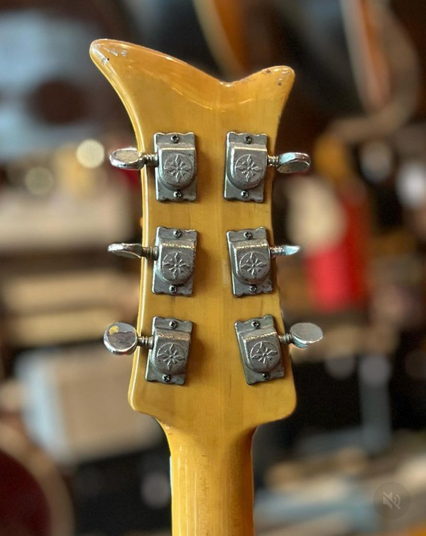 テスコ DG-67 Caveman Vintage Music : スライド・バラダイス／RY