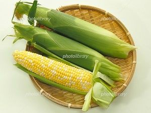 トウモロコシ 写真素材 みさとぷりんと イラスト 背景素材