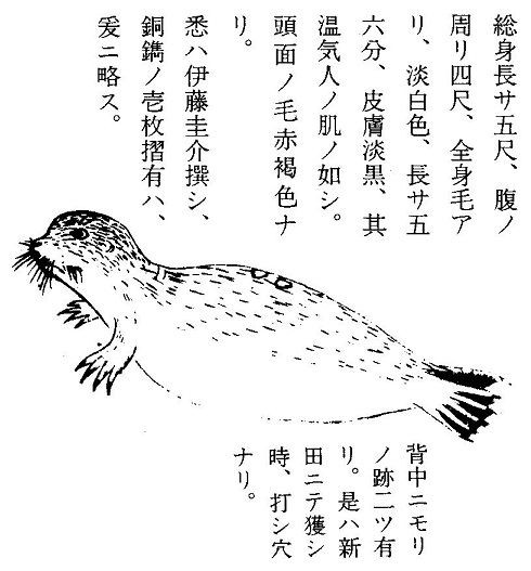 天保四年（1833）癸巳 7月～12月 : 見世物興行年表