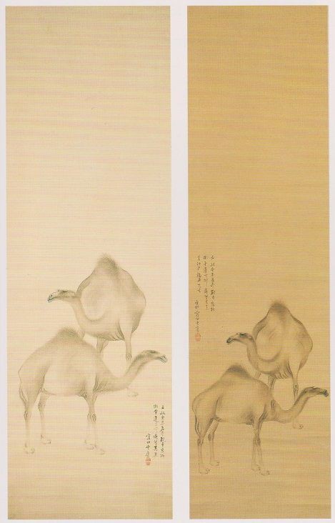 文政六年（1823）癸未 駱駝の見世物（大阪・京都） : 見世物興行年表