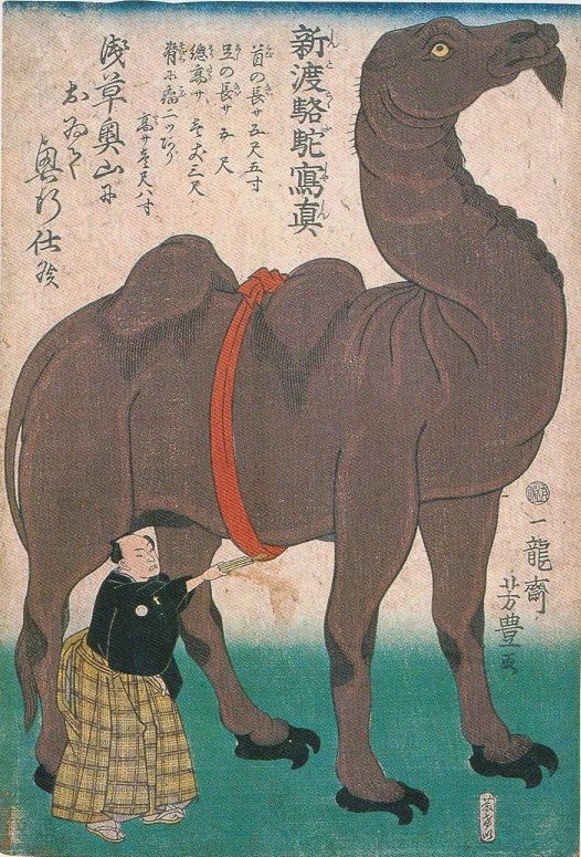 文化・文政期(第2巻) 文化・文政期 京都画壇の一九世紀2/佐々木