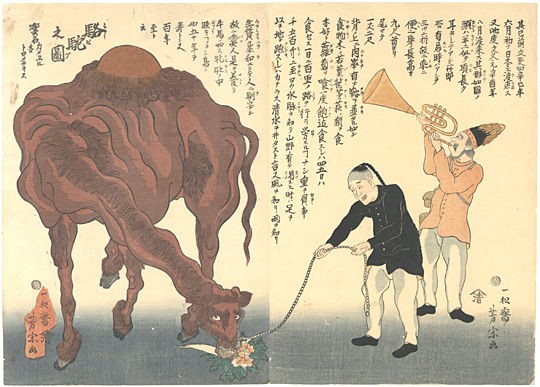 文久二年（1862）壬戌 : 見世物興行年表