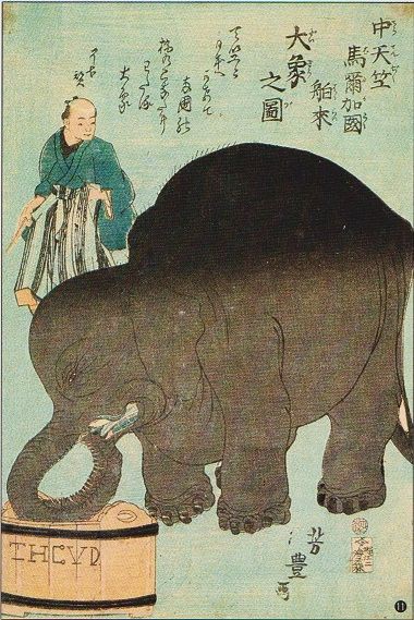 文久三年（1863）癸亥 象の見世物 : 見世物興行年表