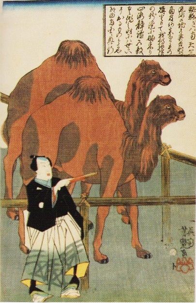 京都画壇の一九世紀（じゅうきゅうせいき） 第2巻 / 佐々木 丞