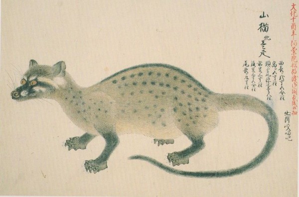 文化十三年（1816）～文化十四年（1817） : 見世物興行年表