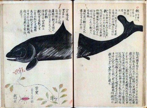 手妻人形