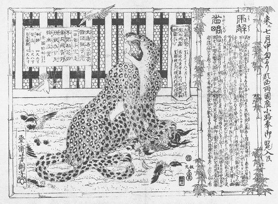 小柄　虎２匹　江戸時代　M１１５１ 小柄虎2匹江戸時代M1151