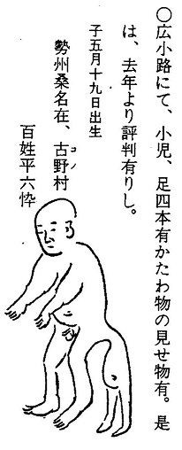 文化十三年（1816）～文化十四年（1817） : 見世物興行年表