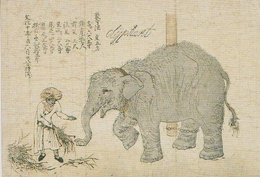 文化十年（1813） : 見世物興行年表