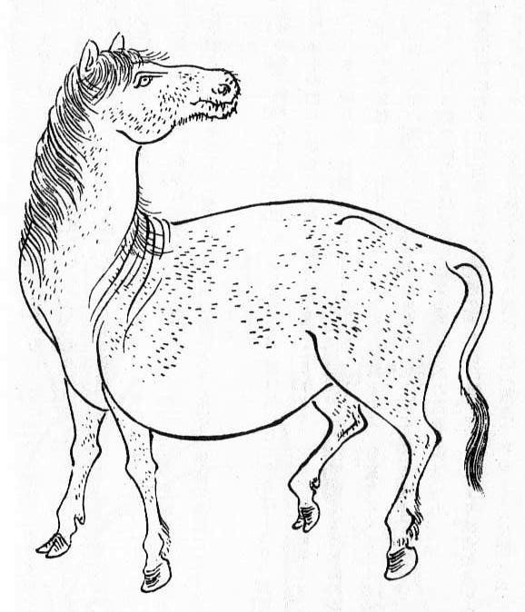 明和元年（1764）～明和八年（1771） : 見世物興行年表