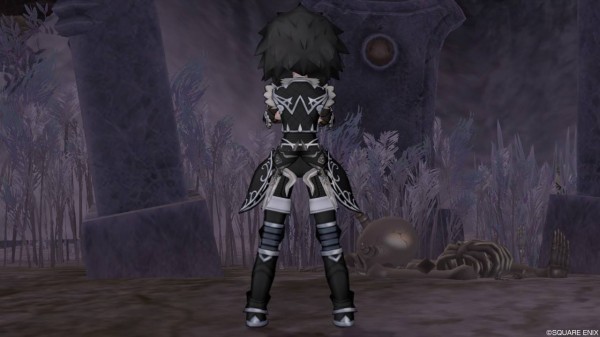 やっと使えた ドラゴンベスト上を使ってドレスアップ ぽれぽれ