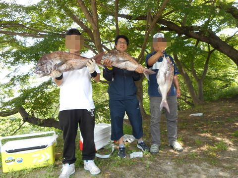 広島協会チヌ タイ大会 不参加でしたが 大漁でしたよ 塾長先生の広島投げ釣り日記