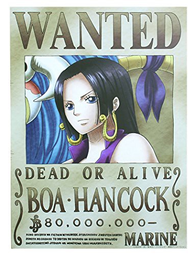 2chまとめ 元王下七武海ボア ハンコック 懸賞金元8000万ベリー 画像あり みつエモンのオタク情報館