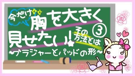 今だけ胸を大きく見せたい その方法とは ブラジャーとパッドの形 ダメ男と私とラブコメディ Powered By ライブドアブログ