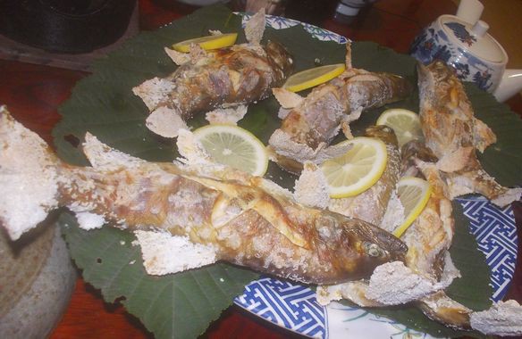 渓流釣り 塩焼き 渓流魚編 ぷーちゃんのつれづれ日記