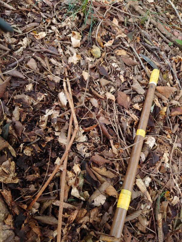 あけびの根蔓の採取の仕方等 : 里山暮らしの雑記帳