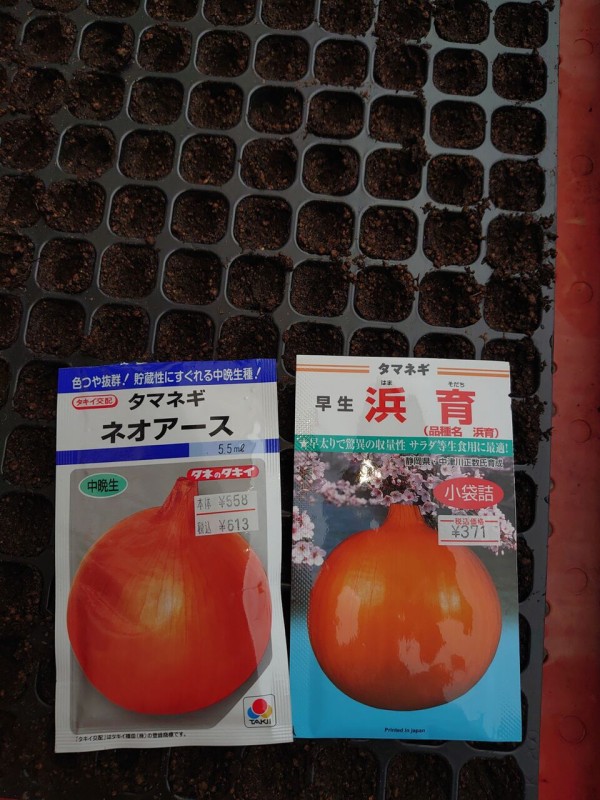 玉ねぎの種まき 里山暮らしの雑記帳
