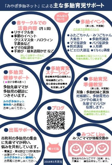 みやぎ多胎ネット パンフレット作成しました みやぎ多胎ネット
