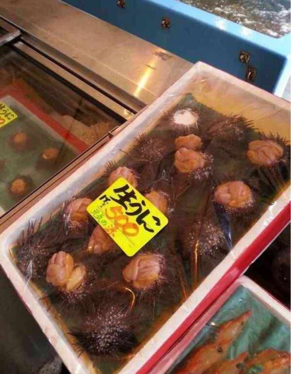 わい ケンモ飯悪くないやん 敵 きったねクソだ アチアチの実の全身鍋焼き人間 ボケぶろ わい ケンモ飯悪くないやん 敵 きったねクソだ アチアチの実の全身鍋焼き人間 ボケぶろ