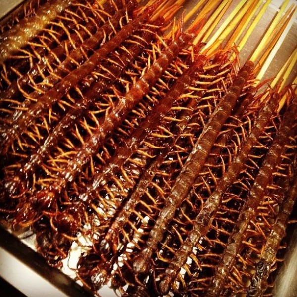 ヽ ん ﾁｯ 糞が ﾎﾟｯﾁｬﾏを生みやがって ボケぶろ