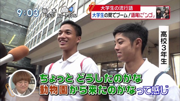 悲報 なんj民 猿ではなくゴリラの集まりだった ボケぶろ