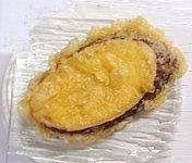 悲報 野獣先輩 ウサギだった ボケぶろ 悲報 野獣先輩 ウサギだった ボケぶろ