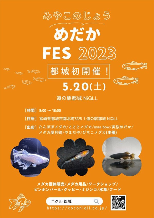 都城おすすめイベント】初のフェスなら泳がされるしかないね 