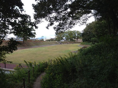 いましろ 大王の杜 気まぐれblog