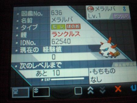 ポケモンプレイ日記 水に強いブログ