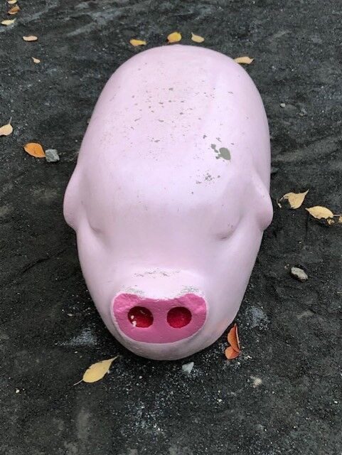 公園ときどきぶた : ( ͡⊙ ͜ʖ ͡⊙) ココアシガレット・アンダー