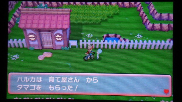 ポケモンoras げんせんたのしいね 終花みずきのゲーム日和2nd