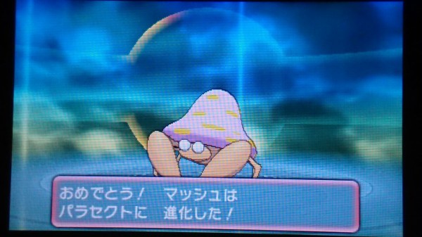 ポケモンoras ハピナス道場に通い詰め 終花みずきのゲーム日和2nd