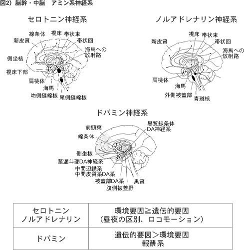 覚醒中枢 意識中枢 落書き帳2