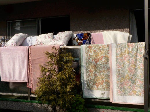 ベランダは花盛り 花好きおばあさんの 園芸ボランティア日記