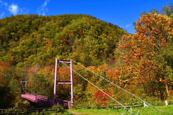 岩内仙峡の紅葉 帯広 燃えるゴミは明日