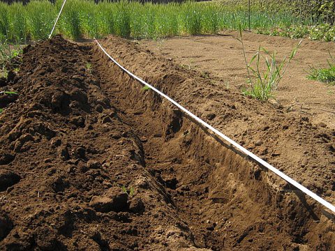 13年 スイカとサツマイモの畝作り はたぶろ
