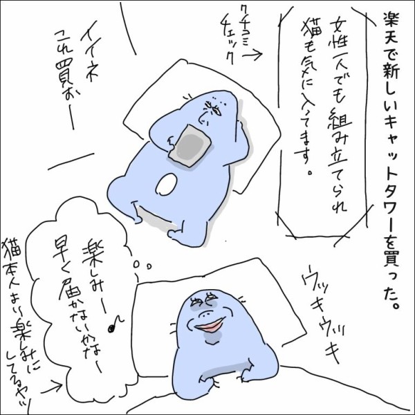 キャットタワーを新しく買い替えた結果。 : 地球の住民M子ママの日常