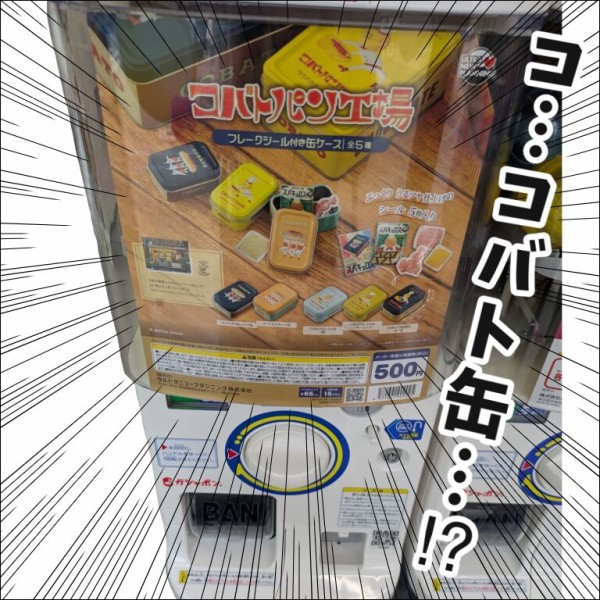 コバト缶がミニチュアに⁉︎可愛すぎて意識失いそうなガチャと出会った