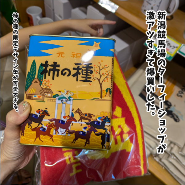 1泊2日新潟旅行レポ① 〜遂に念願叶って初上陸の新潟競馬場〜 : 地球の