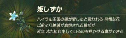 姫しずか ゼルダの伝説ブレスオブザワイルド２待合室