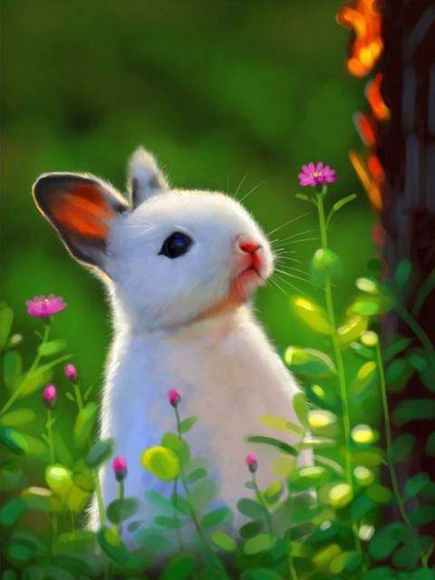 かわいいウサギ ロック画面の画像 Ra Suグレードヒカルhdの壁紙携帯電話の壁紙 動物 壁紙