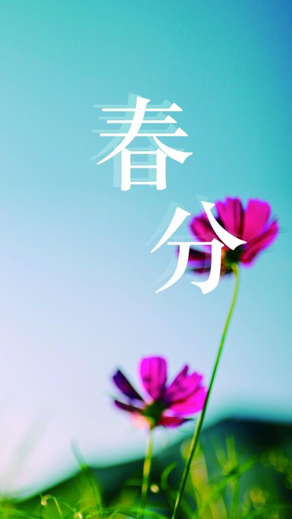 ブラックiphoneの壁紙セクション その後 春春分 ロック画面の画像 携帯電話の壁紙 植物 壁紙