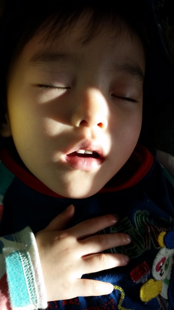 １２日 4人娘と毎日ﾄﾞﾀﾊﾞﾀblog